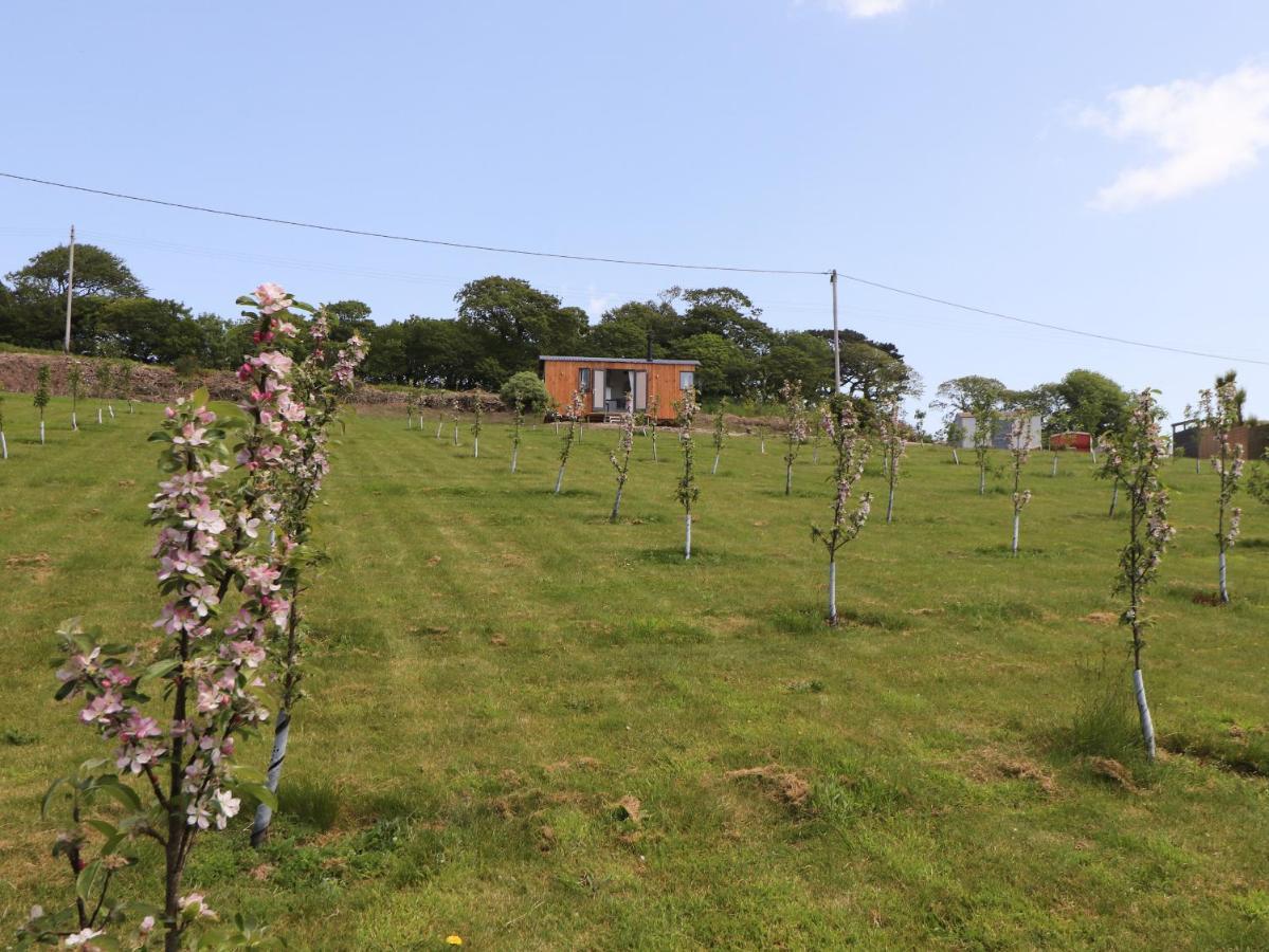 Little Pip Villa Penzance Exterior photo